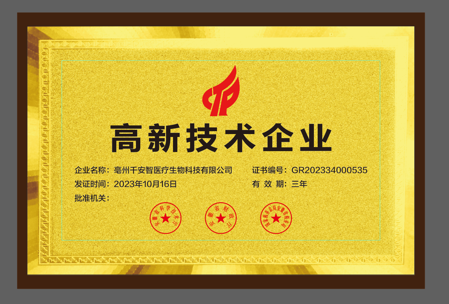 高新技術(shù)企業(yè)